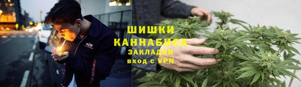 шишки Богородицк